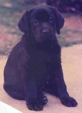 Lucy as a baby.