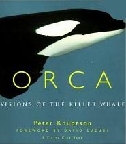 Buy 'Orca' !!! 